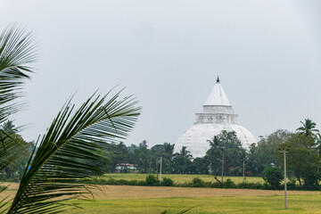 Tissa, Sri Lanka The Tissamaharama Stupa Buddhist temple looming over fields.