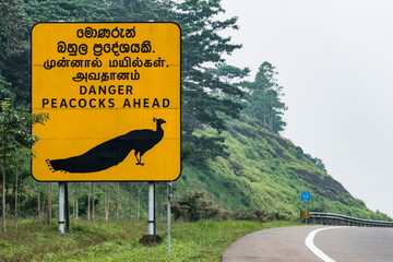 Padalangala, Sri Lanka A sign on the E01 highway warning for peacocks on the road.