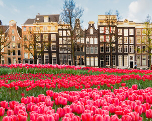 Obraz premium Houses of Amstardam, Netherlands