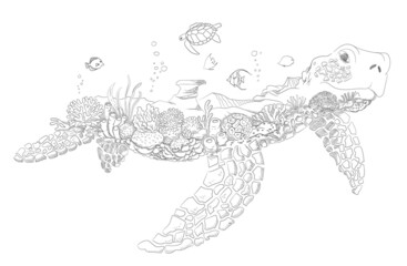 Turtle coral reef fish aquarium drawing sketch template