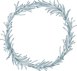 Rosemary Hand Drawn Round Background Wreath or Frame