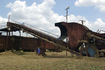 Chambas, Cuba, April 25, 2010. Loading sugar cane into train carriages.