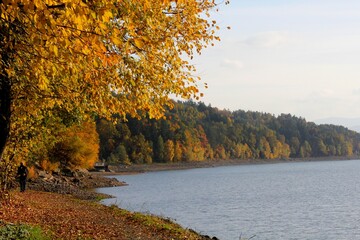 The shore of the lake in autumn surrounded by colorful trees