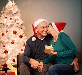 Its definitely more fun to give. A happy mature couple exchanging Christmas gifts in front of their Christmas tree. - obrazy, fototapety, plakaty