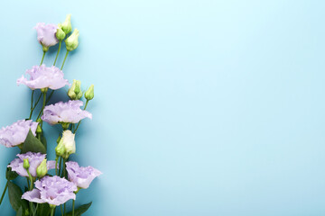 Festive flower composition purple color on light blue background. Flowers frame. Overhead view. Top view with copy space.