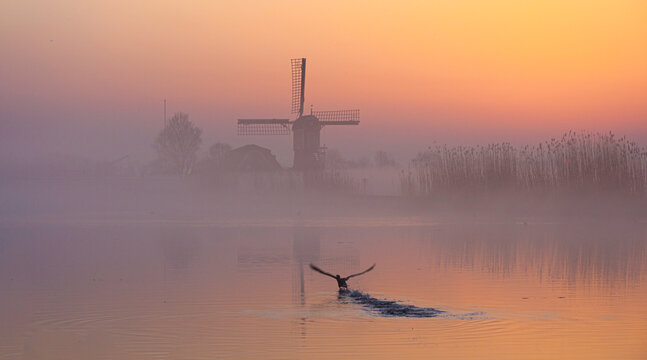 Sunrise in the Green Heart of the Netherlands