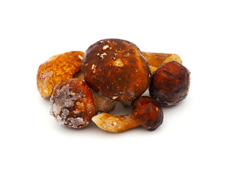 Frozen porcini mushrooms isolated on white background