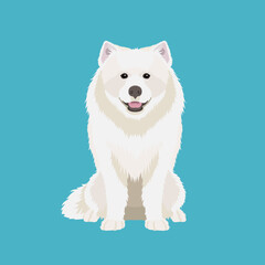 Vector picture of funny Samoyed isolated on white background