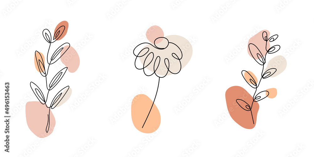 Poster botanical line art vector set. abstract minimalist line art elements.
