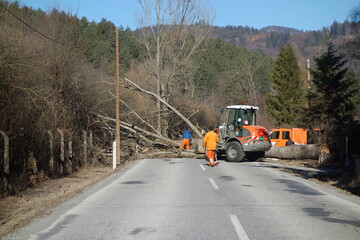 Workers with payloader and truck with hydraulic lifting platform remove a tree fallen on the road. highway work concept