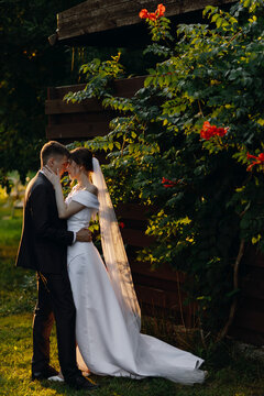 Beautiful newlyweds are hugging in the park at sunset. Full length photo