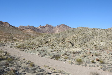 The scenic desert landscape of the Eldorado Mountain wilderness in Clark County, Nevada.