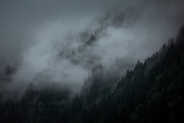 Mist en lage wolken op een humeurige regenachtige dag in de bomen in de bergen.