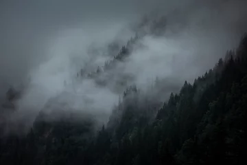 Papier Peint photo Noir Brouillard et nuages bas un jour de pluie maussade dans les arbres des montagnes.