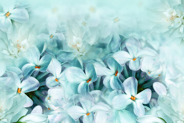 Floral spring background. Lilac bouquet  turquoise  flower petals. Close-up. Nature. Lilac bunch.