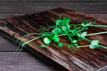 Green pea microgreens on wooden boards, beginning of life and end in nature, fresh fragrant herb for dishes, decorations, diet healthy food