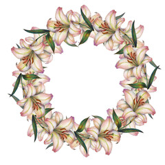 Watercolor flowers lily on white background. Illustration of floral wreath.
