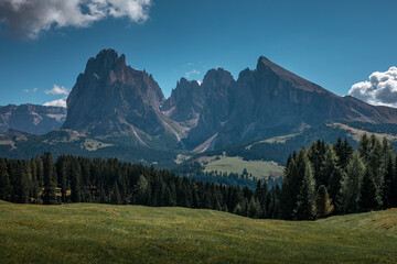 Fototapeta na wymiar Meadows at Alpe di Siusi during summer with view to mountains of Plattkofel and Langkofel in the Dolomite Alps in South Tyrol, Italy.