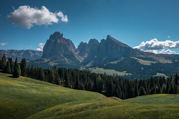 Fototapeta na wymiar Meadows at Alpe di Siusi during summer with view to mountains of Plattkofel and Langkofel in the Dolomite Alps in South Tyrol, Italy.