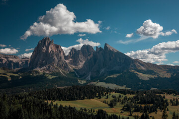 Meadows at Alpe di Siusi during summer with view to mountains of Plattkofel and Langkofel in the Dolomite Alps in South Tyrol, Italy.