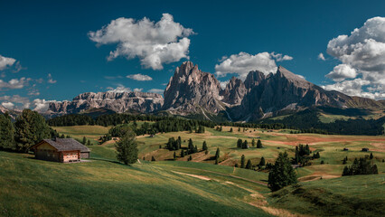 Meadows with wooden cabins at Alpe di Siusi during summer with view to mountains of Plattkofel and...