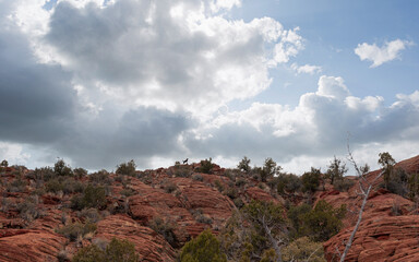 dog on red rocks with cloudy sky