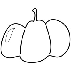 pumpkin hand drawing