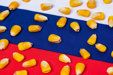 Russia flag and corn kernels. Agriculture exports, farming and crop supply concept.