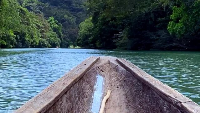 Dugout canoe on Chagres River in Panama. Motorized piragua or hamp&radic;&deg; (dugout canoe) travels up Chagres River to a Ember&radic;&deg; indigenous village. Embera are indigenous people of Panama and Columbia.