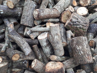 Wood for winter fuel