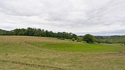 Obraz premium Green meadows and forest on a cloudy day in the hills of the Condroz in the Wallonian countryside 