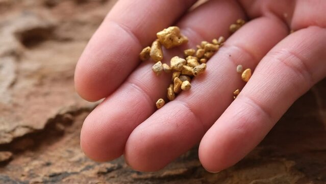 Miners grab gold ore found in the mine for inspection and consideration.	