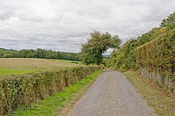 Fototapeta na wymiar Dirt road through the hills with meadows and trees of Condroz, Namur, Belgium 