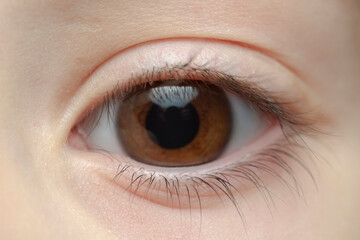 close-up of a child's brown eye macro photo