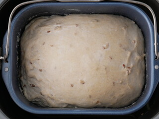 Levée de la pâte à pain dans la machine à pain à la maison 