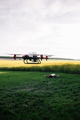 Agriculture drone fly to sprayed fertilizer on the sweet corn fields