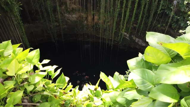 Cenotes are underground natural pools and sacred Mayan ceremonial spaces. Today these cave-like swimming pools provide the most perfect way to cool off and escape the heat of the sun in Yucatan, Mexic