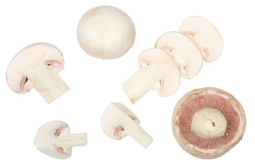 Mushrooms isolated on a white background. top view. Flat lay