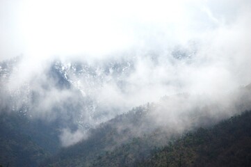 landscape of hills in the morning mist