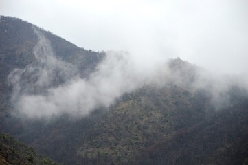 Fototapeta premium landscape of hills in the morning mist