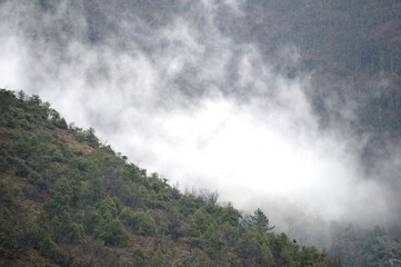Fototapeta na wymiar landscape of hills in the morning mist