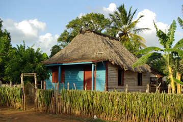 Fototapeta na wymiar Typical house in the Cuban countryside. Chambas, Cuba, 2010