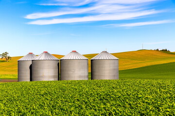 Agricultural silos on the field © Nadia
