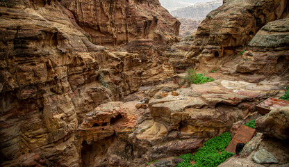 Herd of mountain goats in Petra Jordan