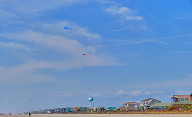 Fototapeta premium Kites over beach