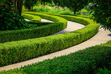 Fototapeta premium Concentric circles of paved walkway separated with hedges and edged with lush greenery in park
