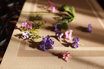 Fresh spring flowers prepared for easter eggs decoration