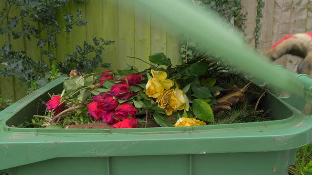 A person&rsquo;s gloved hands throwing some dead flowers on the very top of green waste in a full wheely bin, then closing the lid and pulling the bin away.