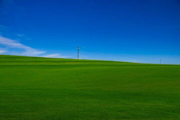 Fototapeta na wymiar Green grass and blue sky with white clouds,