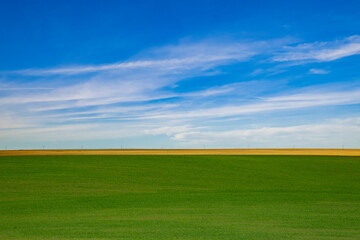 Green grass and blue sky with white clouds,
